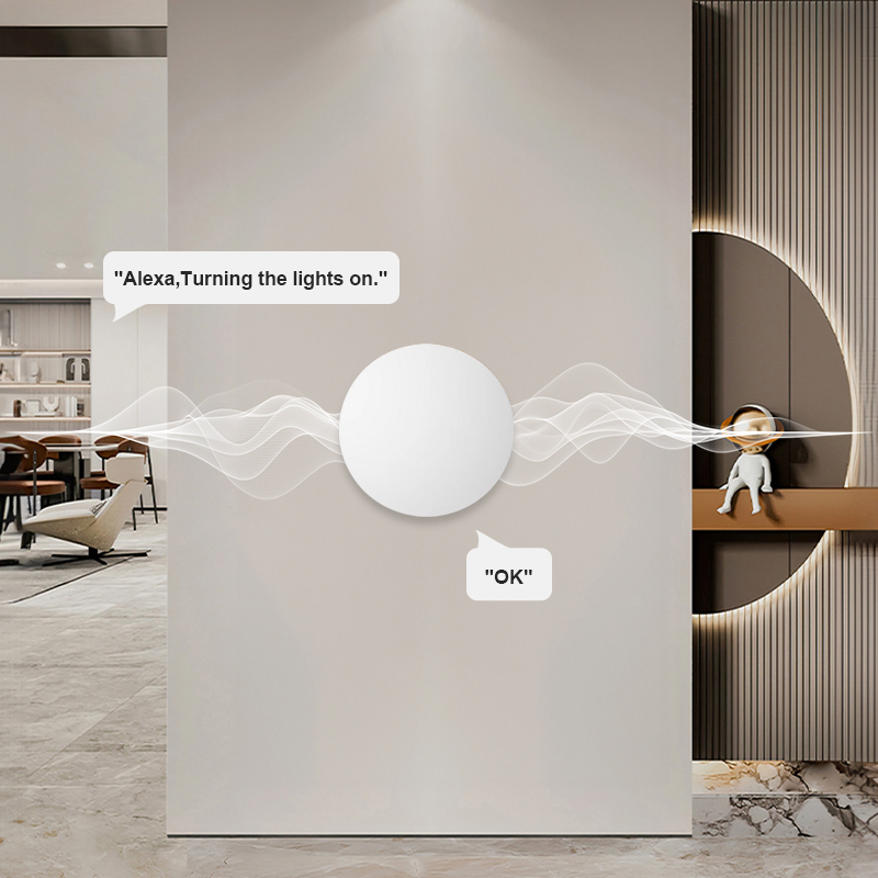 ZigBee スマートワイヤレスボタンシーンスイッチ Tuy - Smart Home Gadgets のレビューと価格
