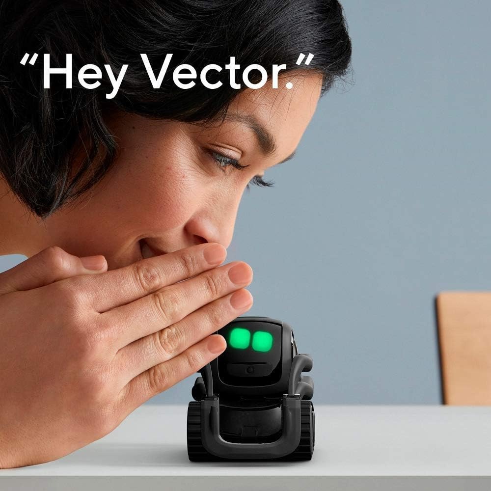 AI ChatGPT 2.0接続ロボットコンパニオン、顔認識 - Smart Home Camera のレビューと価格